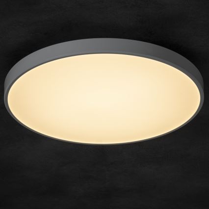 LED Dimbar taklampa PLAFON LED/20W/230V 3000-6500K Wi-Fi vit