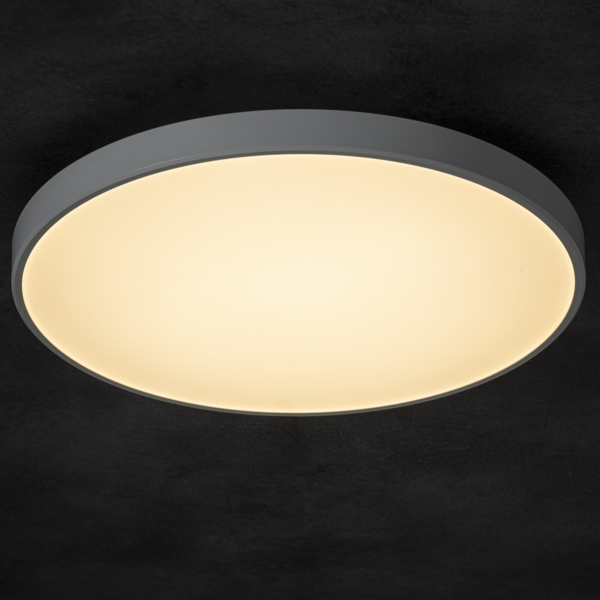 LED Dimbar taklampa PLAFON LED/20W/230V 3000-6500K Wi-Fi vit
