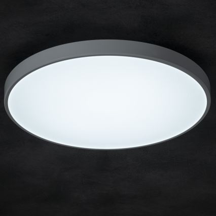 LED Dimbar taklampa PLAFON LED/20W/230V 3000-6500K Wi-Fi vit