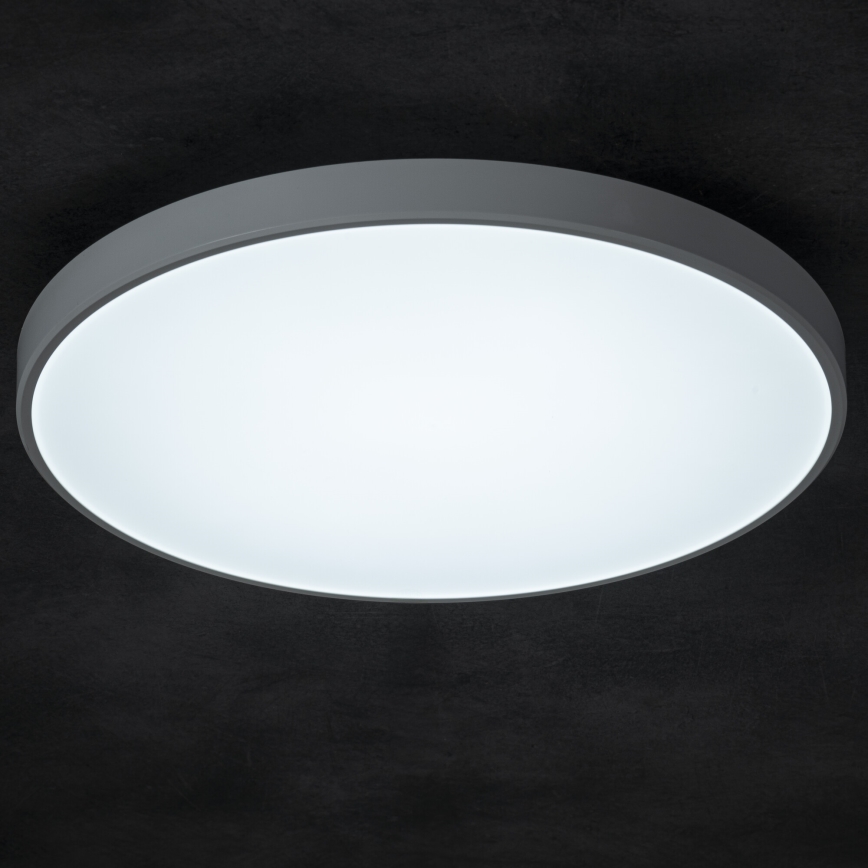 LED Dimbar taklampa PLAFON LED/20W/230V 3000-6500K Wi-Fi vit
