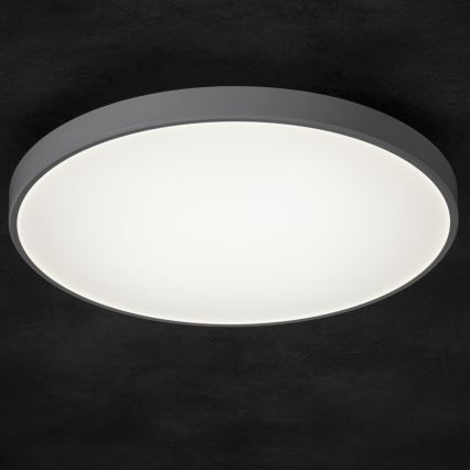 LED Dimbar taklampa PLAFON LED/20W/230V 3000-6500K Wi-Fi vit