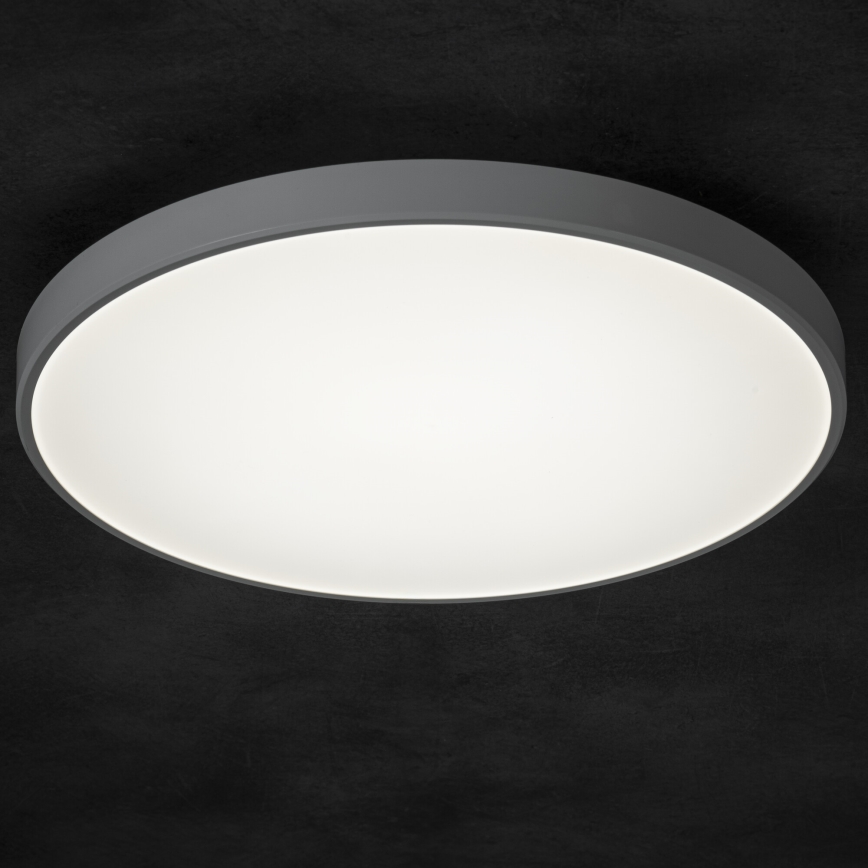 LED Dimbar taklampa PLAFON LED/20W/230V 3000-6500K Wi-Fi vit