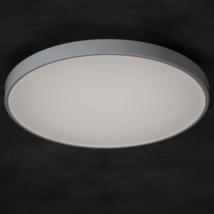 LED Dimbar taklampa PLAFON LED/20W/230V 3000-6500K Wi-Fi vit
