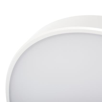 LED Dimbar taklampa PLAFON LED/20W/230V 3000-6500K Wi-Fi vit
