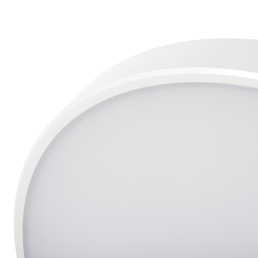 LED Dimbar taklampa PLAFON LED/20W/230V 3000-6500K Wi-Fi vit