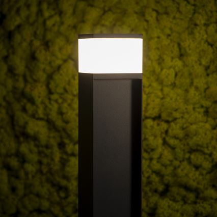 Utomhuslampa DASTEN 1xG9/11W/230V 30 cm IP44 svart