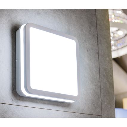 LED taklampa för utomhusbruk BENO LED/12/18W/230V 3000/3500/4000K IP65 vit vinklat
