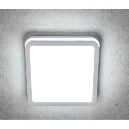LED taklampa för utomhusbruk BENO LED/12/18W/230V 3000/3500/4000K IP65 vit vinklat