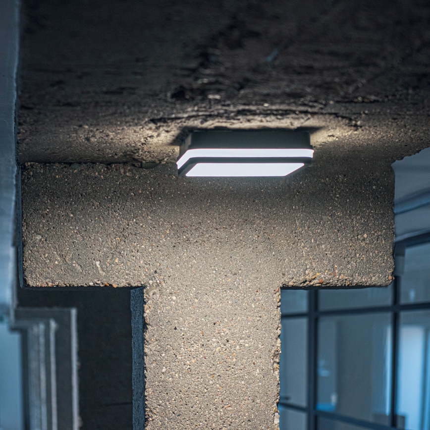 LED taklampa för utomhusbruk med rörelsedetektor BENO LED/24/30W/230V 3000/3500/4000K IP65 antracit vinklat