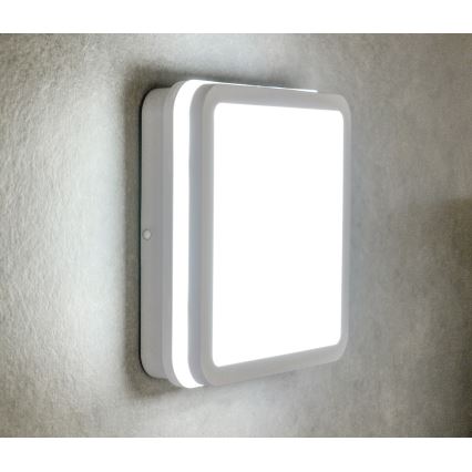 LED taklampa för utomhusbruk BENO LED/24/30W/230V 3000/3500/4000K IP65 vit vinklat