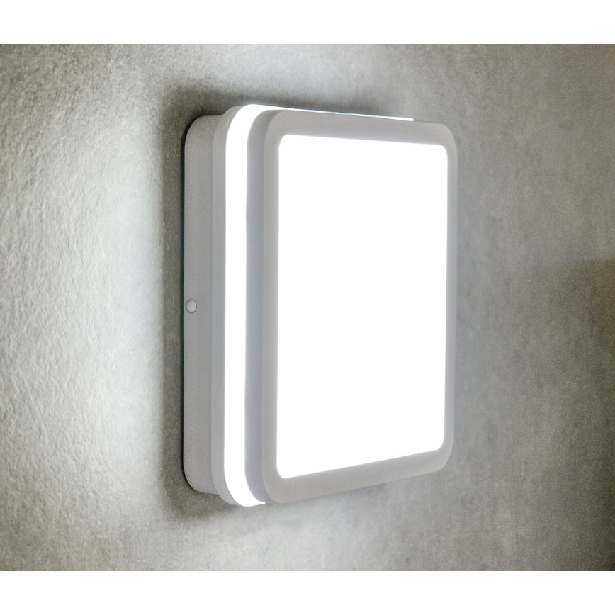 LED taklampa för utomhusbruk BENO LED/24/30W/230V 3000/3500/4000K IP65 vit vinklat