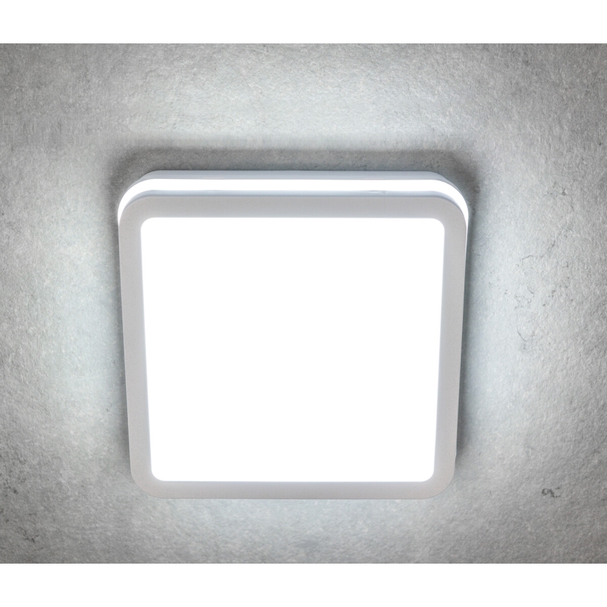 LED taklampa för utomhusbruk BENO LED/24/30W/230V 3000/3500/4000K IP65 vit vinklat