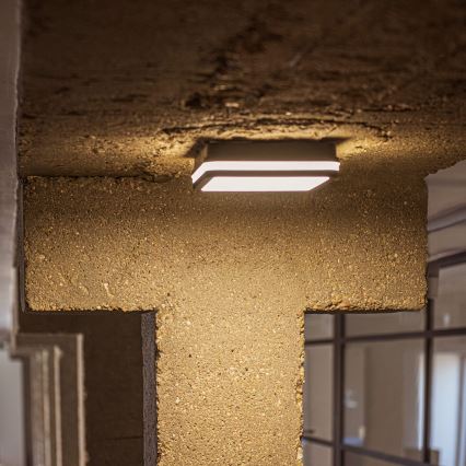 LED taklampa för utomhusbruk med rörelsedetektor BENO LED/12/18W/230V 3000/3500/4000K IP65 antracit vinklat