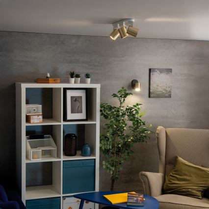 Väggspotlight LAURIN 1xGU10/10W/230V mässing/svart