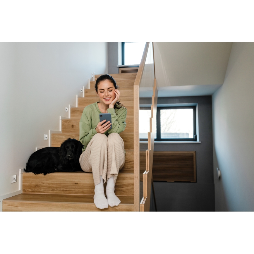 LED trapparmatur EXIN LED/2,5W/230V 3000K IP65 vit fyrkantig