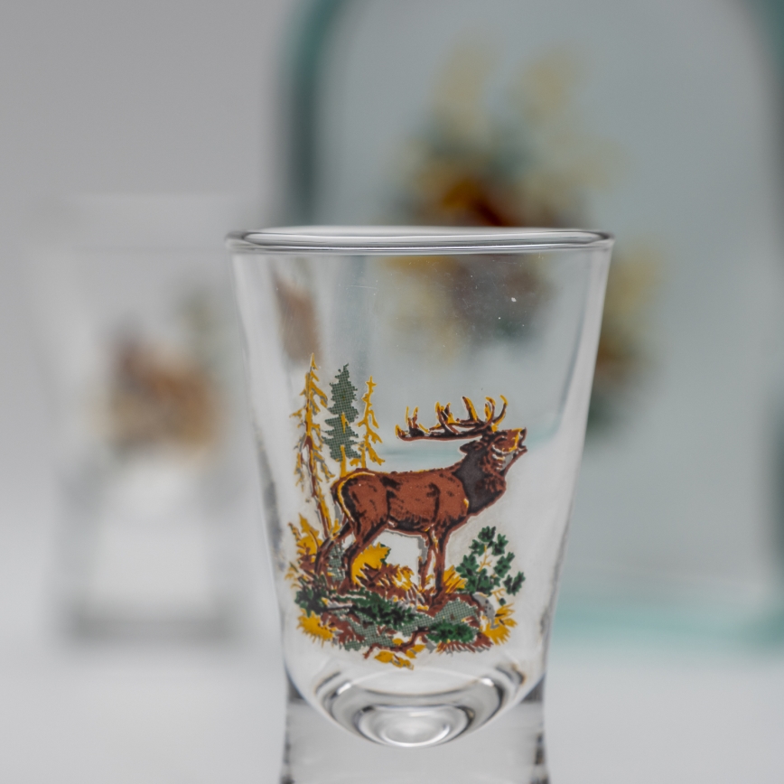 Kit 1x glasflaska och 2x snappsglas genomskinlig med harmotiv