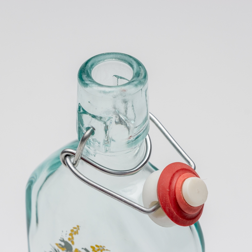 Kit 1x glasflaska och 2x snappsglas genomskinlig med harmotiv