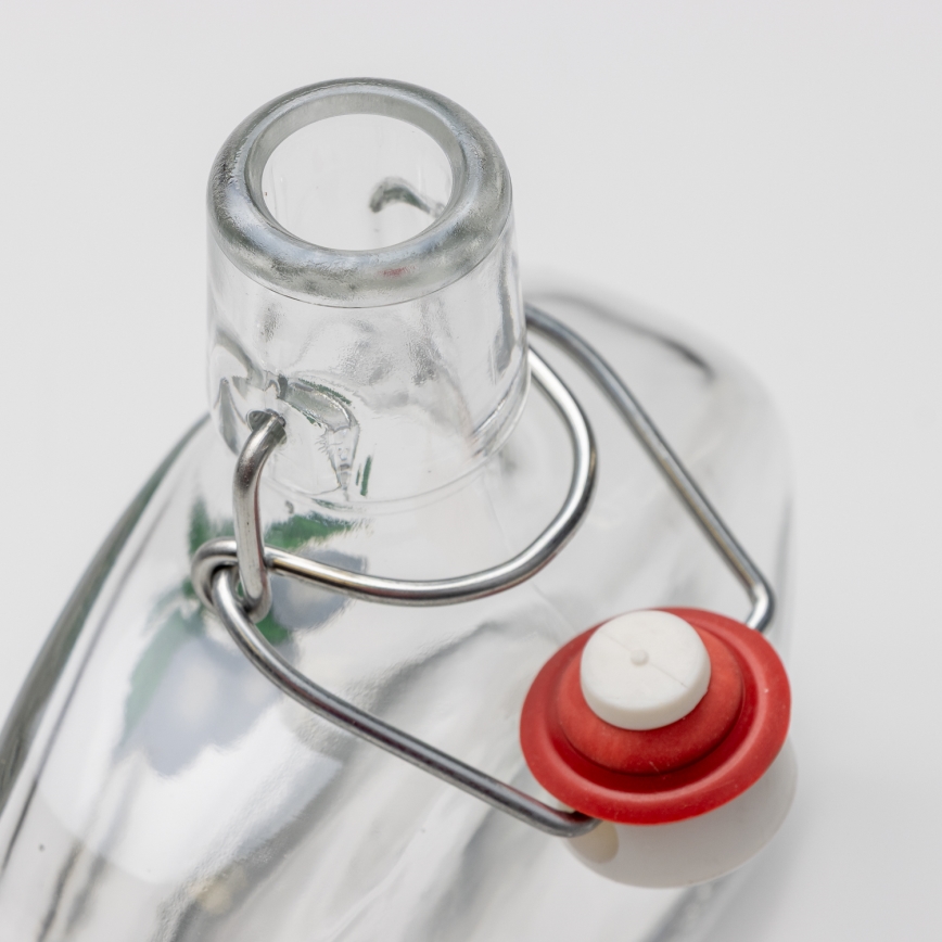 Kit 1x glasflaska och 2x snappsglas genomskinlig med plommontryck