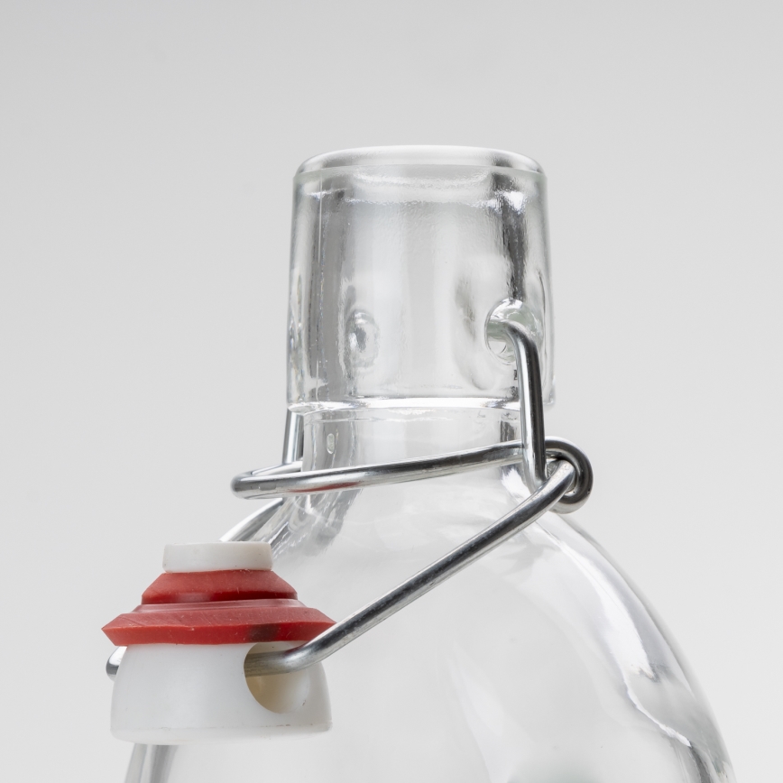Kit 1x glasflaska och 2x snappsglas genomskinlig med plommontryck