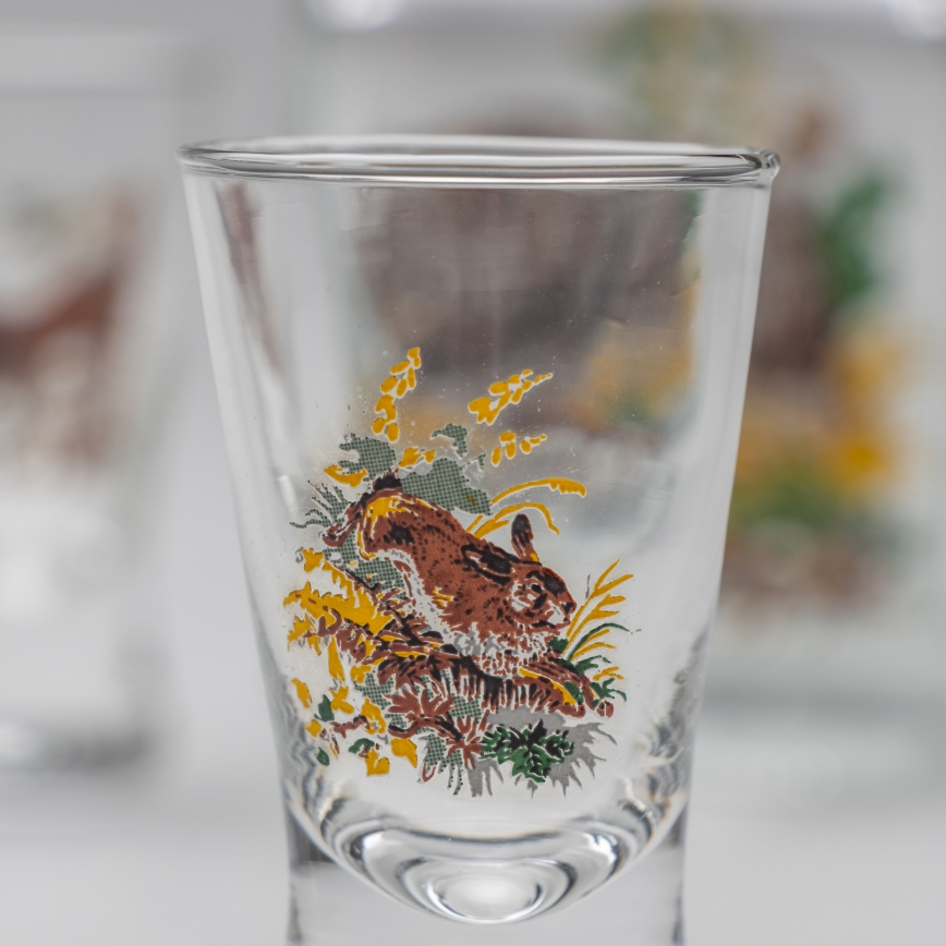Kit 1x glasflaska och 2x snappsglas genomskinlig med vildsvinmotiv