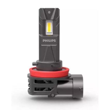 KIT 2xLED Bilglödlampa 11366 U2500 CX H8/H9/H16 PGJ19-1/3/5/20W/12V 6000K