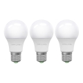 KIT 3x LED glödlampa ECOLINE A60 E27/15W/230V 6500K - Brilagi