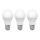 KIT 3x LED glödlampa ECOLINE A60 E27/15W/230V 6500K - Brilagi