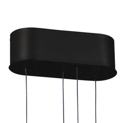 LED ljusreglerad ljuskrona på snöre LIV LED/50W/230V svart + fjärrkontroll