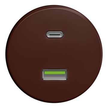 Kliklap - Retro USB-uttag A+C utan ram brun