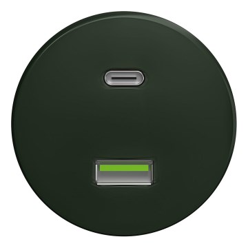 Kliklap - Retro USB-uttag A+C utan ram grön