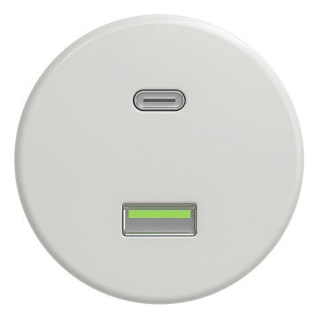 Kliklap - Vintage USB-uttag A+C utan ram vit