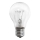 Kraftfull glödlampa E27/100W/230V 2700K