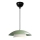 Lampa MOONLIGH hängande 1xE27/40W/230V grön