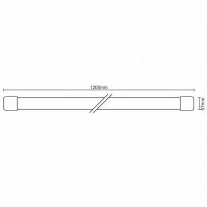 LED arbetsbelysning LED/36W/230V IP40