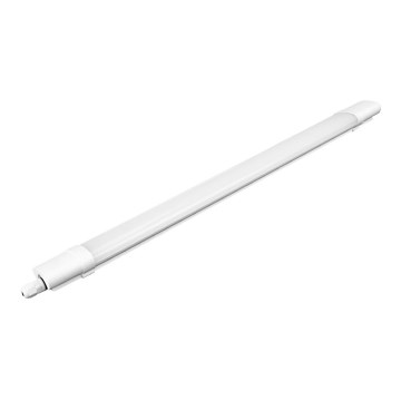 LED Arbetsbelysning LED/36W/230V IP65