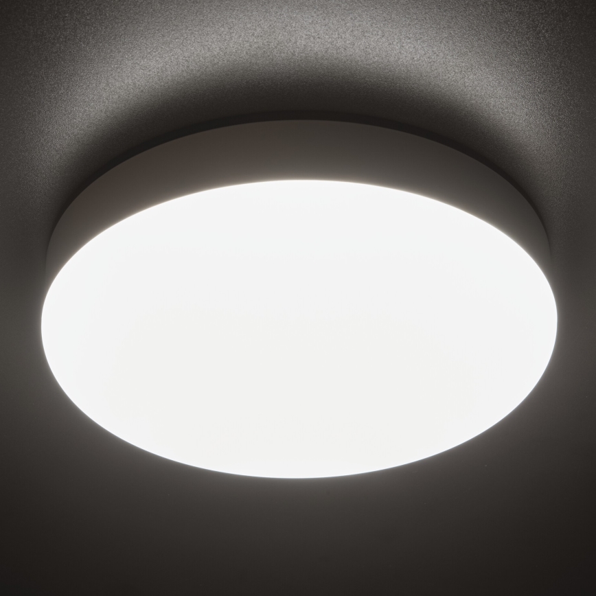 LED arbetsvägglampa IPER LED/26W/230V IK10 IP65 rund vit