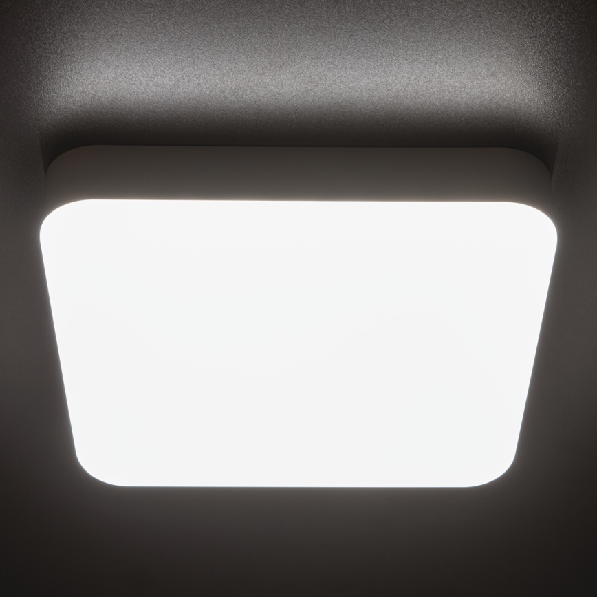 LED arbetsvägglampa med rörelsedetektor IPER LED/26W/230V IK10 IP65 vinklat vit