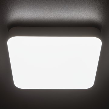 LED arbetsvägglampa med rörelsedetektor IPER LED/35W/230V IK10 IP65 vinklat vit