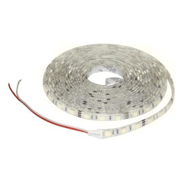 LED Badrum ljusslinga 5m cool vit IP65