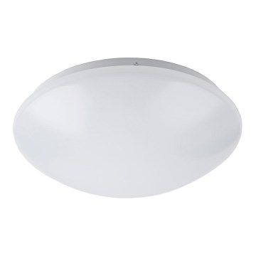 LED Badrumsbelysning tak LED/12W/230V