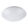 LED Badrumsbelysning tak LED/12W/230V