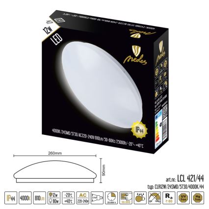 LED Badrumsbelysning tak LED/12W/230V