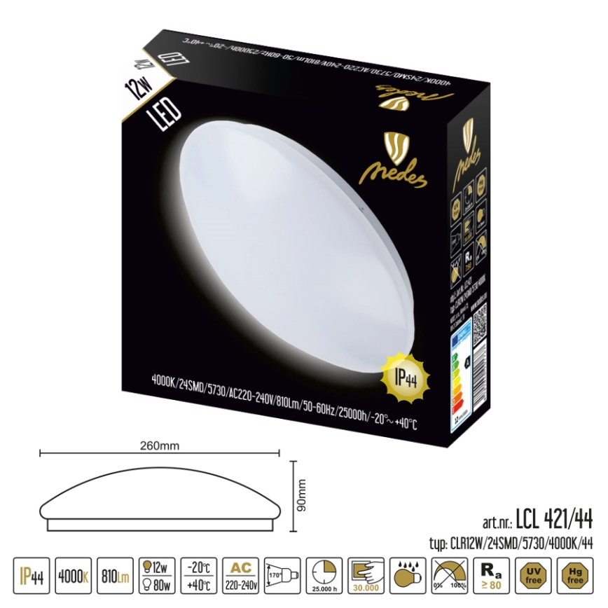 LED Badrumsbelysning tak LED/12W/230V