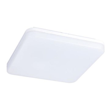 LED Badrumsbelysning tak LED/24W/230V IP54