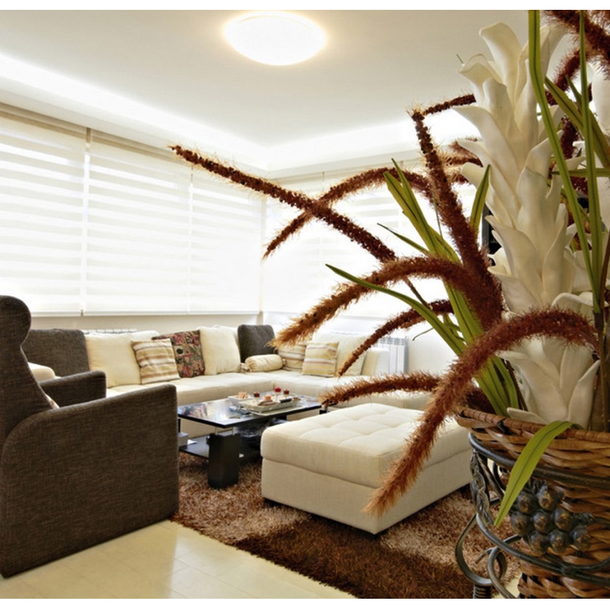 LED Badrumsbelysning tak VICTOR LED/25W/230V IP44