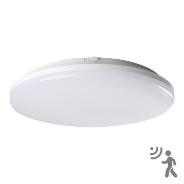 LED Badrumslampa med sensor STIVI LED/24W/230V IP65