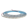 LED badrumslist DAISY 5m kall vit IP65