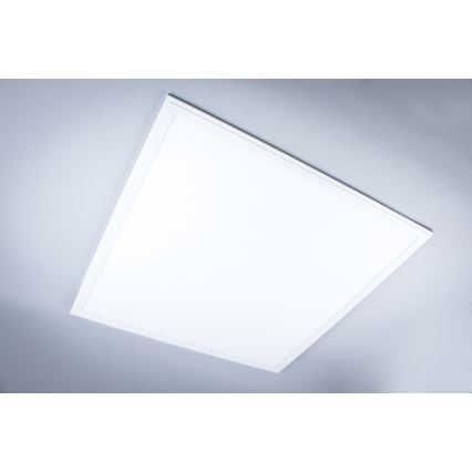 LED fäst badrumspanel LED/40W/230V 4000K 59,5x59,5 cm IP65 vit