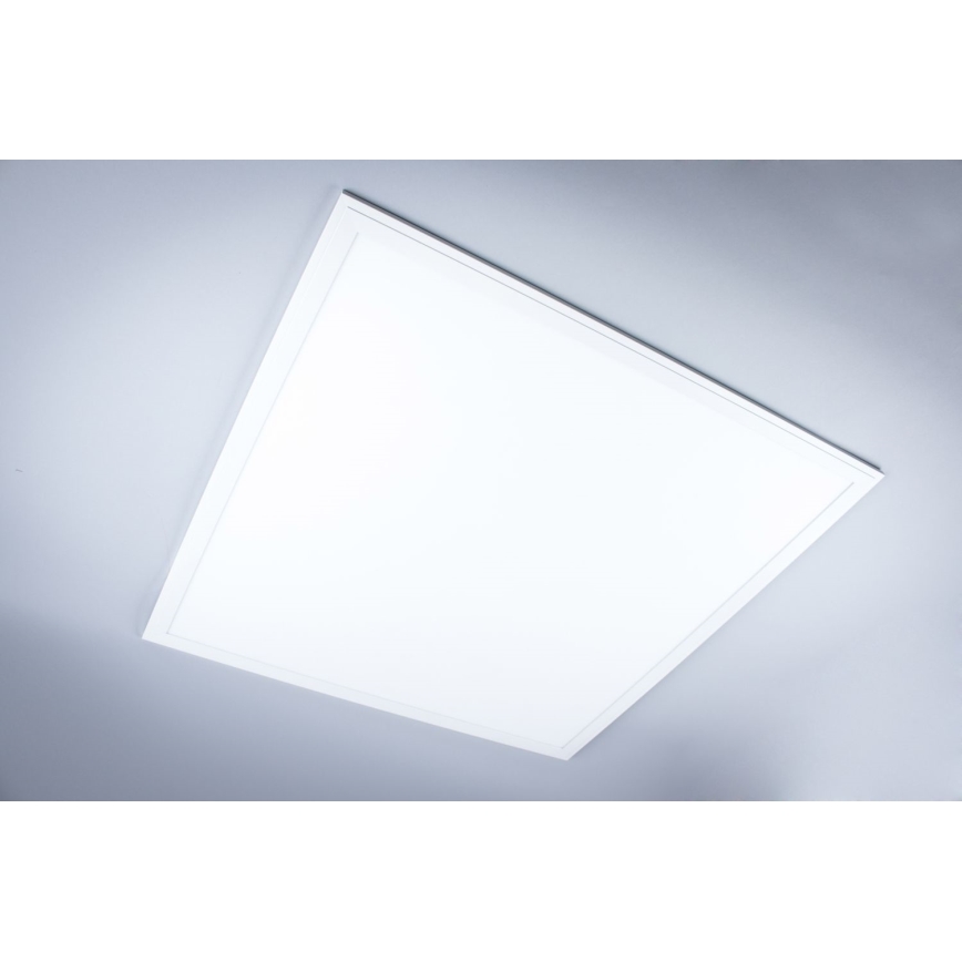 LED fäst badrumspanel LED/40W/230V 4000K 59,5x59,5 cm IP65 vit