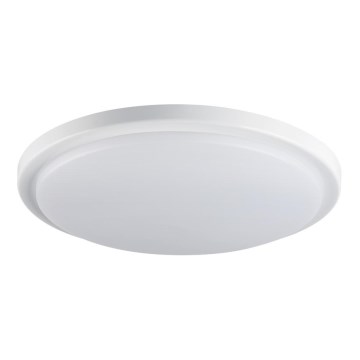 LED badrumstakbelysning  ORTE LED/24W/230V IP54